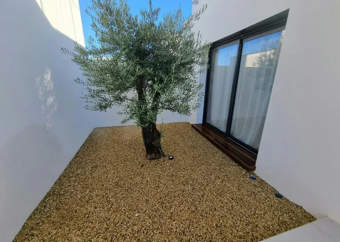 Contemporary Near Beaches Semesterbostad